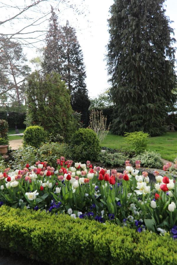 Hotel Weinlaube Кобленц Екстериор снимка
